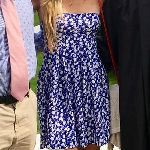 Blue and white floral circle fit dress